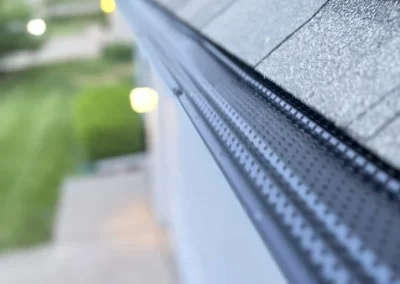 Professional Gutter Services