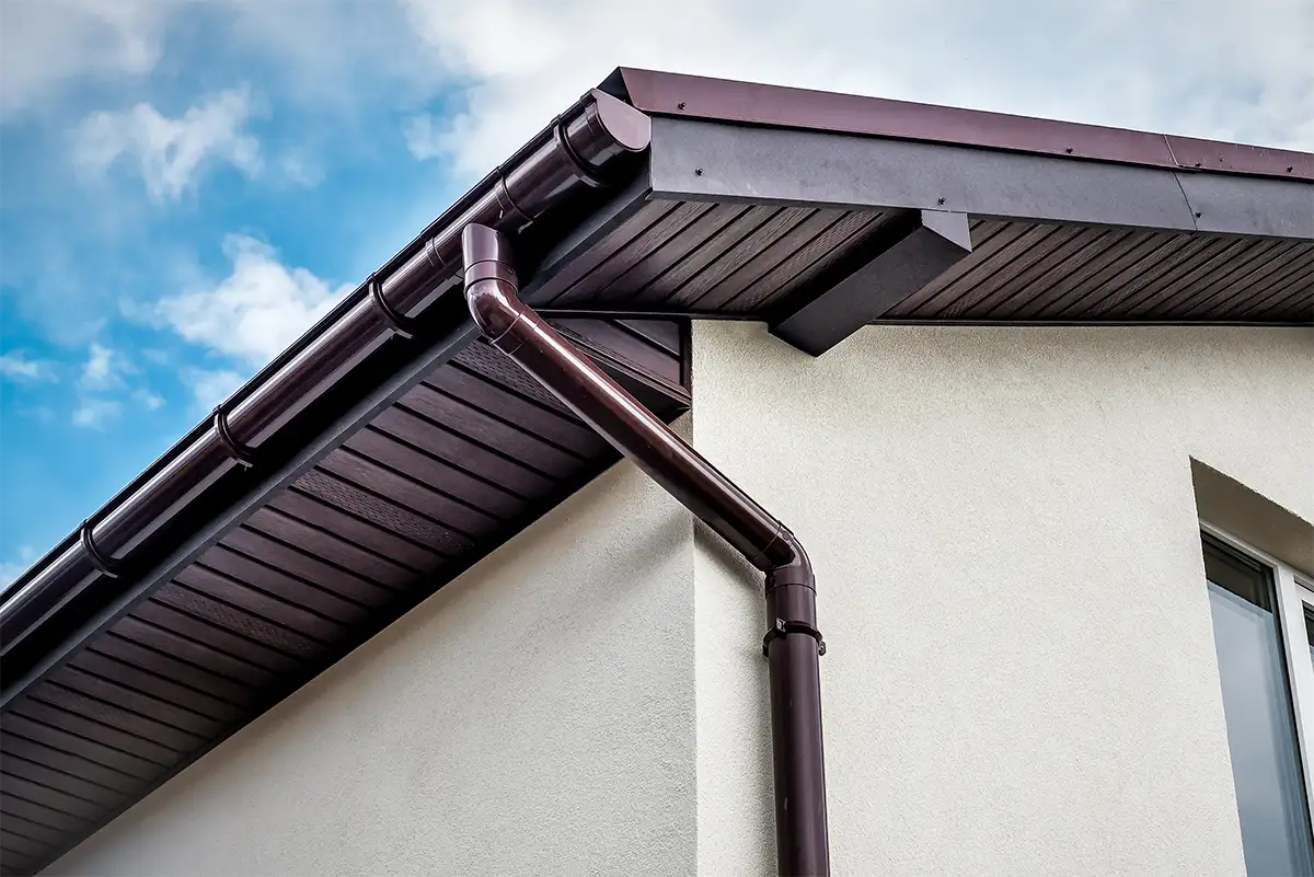 Professional Gutter Services