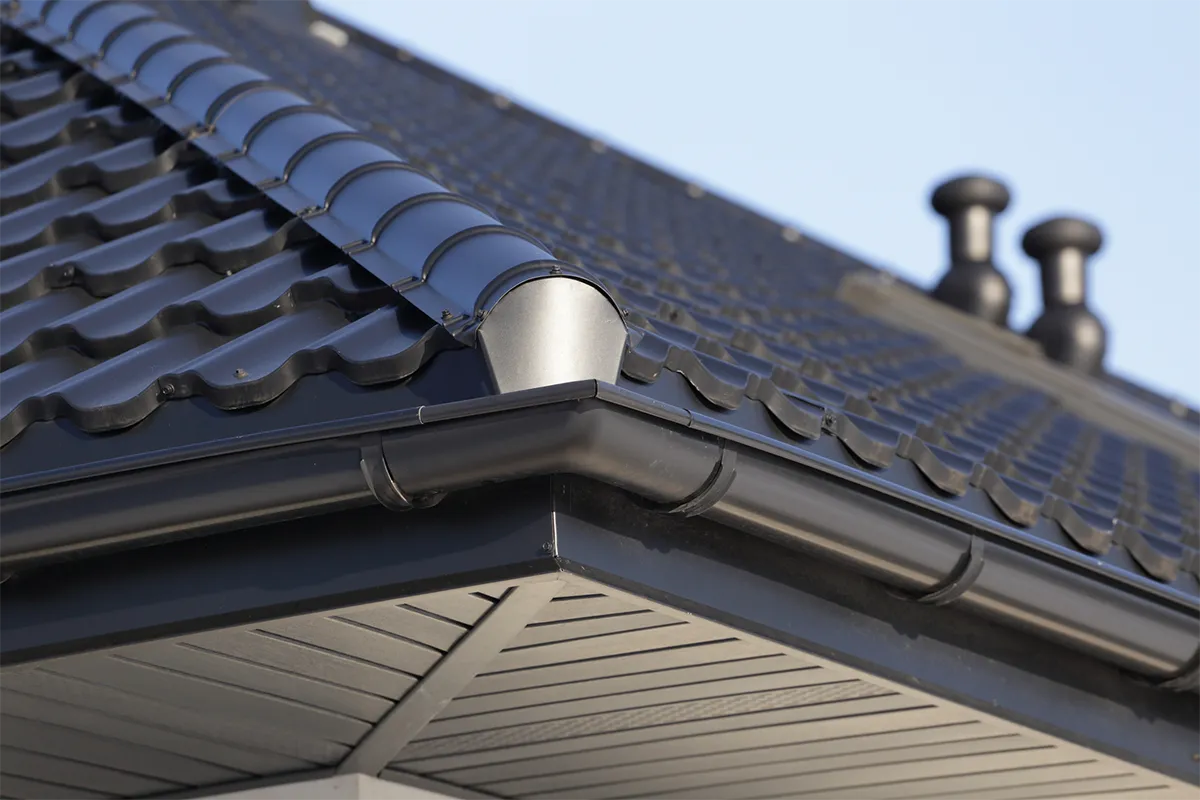 Professional Gutter Services